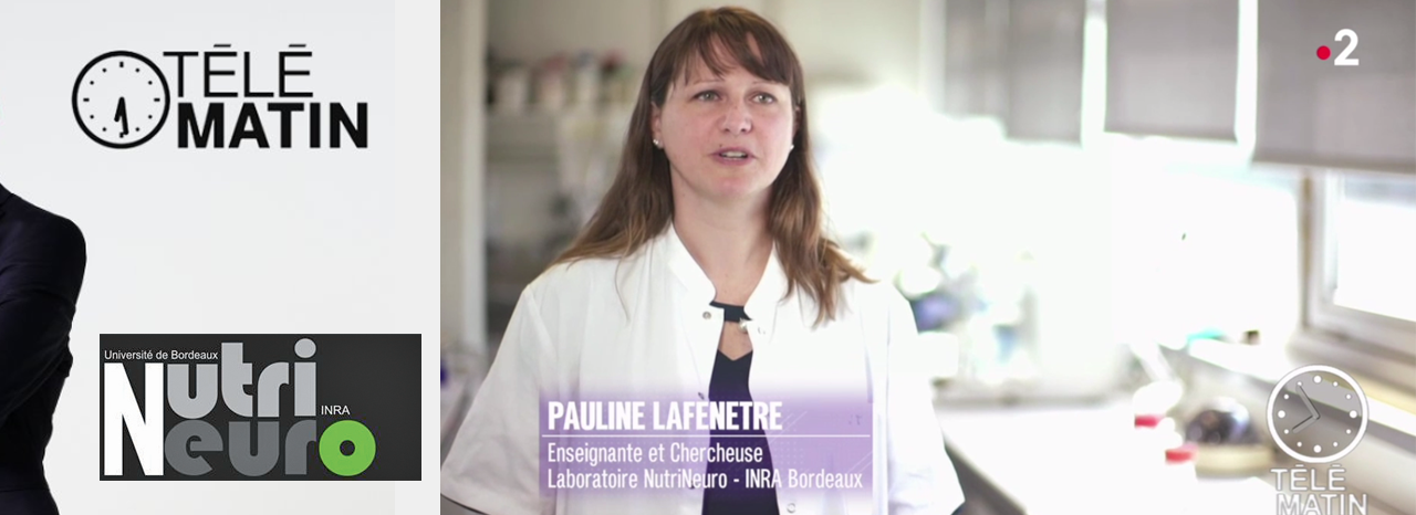 Pauline Lafenêtre, maître de conférences à l'ENSCBP-Bordeaux INP, témoigne de ses recherches dans Télématin